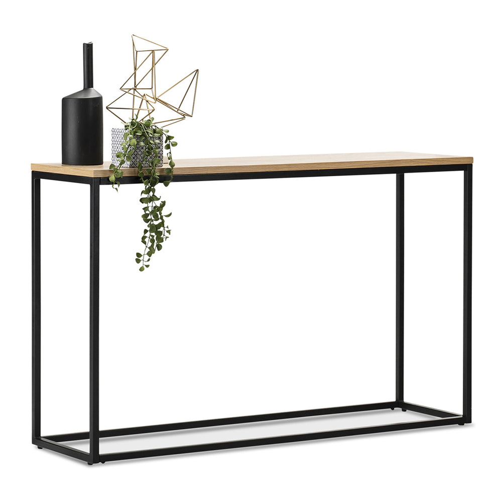 Konzolasztal Kittilä 80x100x30cm különböző színekben [en.casa] - premiumXL